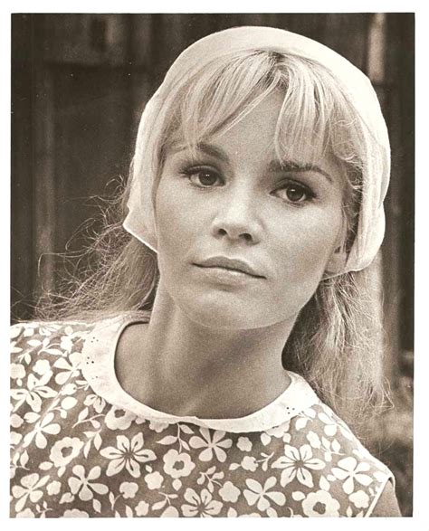 Tuesday Weld Original Vintage Amazing Portrait 1960 S Ebay