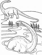 Apatosaurus Coloring Pages Tocolor sketch template