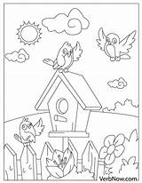 Coloring Verbnow Birdhouse Flock sketch template