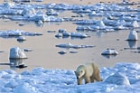 Image result for Biggest sea. Size: 155 x 103. Source: www.thoughtco.com