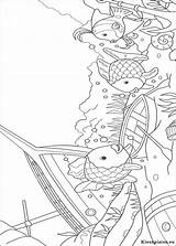 Kleurplaat Regenbogenfisch Pez Arcobaleno Zee Mooiste Vis Arcoiris Colorat Kleurplaten Arco Curcubeu Desene Peixe Planse Fisch Pestisori Animale Wrak Bij sketch template
