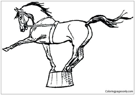 circus horses image  coloring page  printable coloring pages
