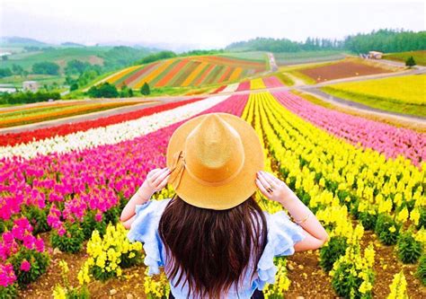 Hokkaido S Magical Flower Fields Will Take You To Another