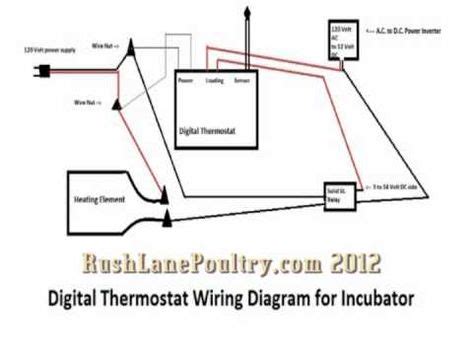 heres  wiring diagram   digital thermostat  solid state relay  incubator