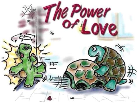the power of love funny turtles sex cartoon bitches pinterest funny turtle and cartoon
