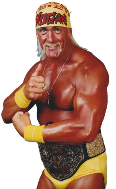 Wcw World Heavyweight Champion Hulk Hogan By Nuruddinayobwwe On Deviantart
