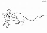 Maus Waldtiere Coloring Einfache Ausmalen Malvorlage Kostenlos Mäuse sketch template