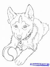 Husky Dog Draw Puppy Huskies Drawing Wolf Cute Drawings Easy Puppies Fun sketch template