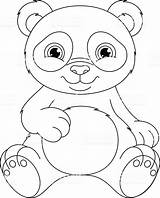 Urso Colorear Pandas Desenho Osos sketch template