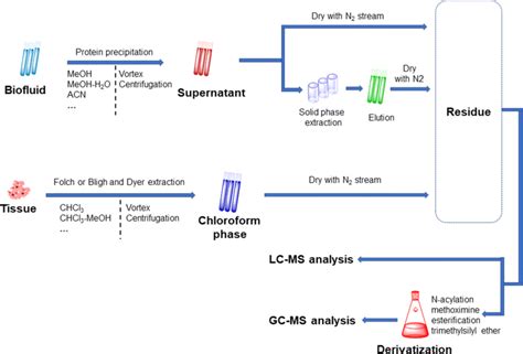 schematic diagram  lc ms  gc ms analysis  eicosanoids   scientific