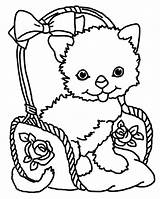 Cat Basket Coloring Drawing Pages Drawings Small sketch template