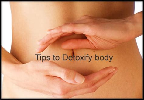 tips to detoxify body in a healthy way see pics lifestyle news