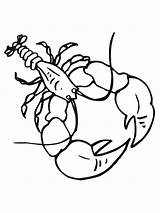 Gambero Crayfish Chele Crawdad Dolce Impressionante Aragosta Disegnare Clipartmag sketch template