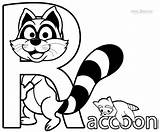 Raccoon Coloring Pages Printable Raccoons Kids Cartoon Drawing Cool2bkids Color Baby Template Easy Marine Getdrawings Popular sketch template