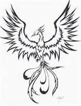 Phoenix Drawing Bird Drawings Coloring Tattoo Tattoos Line Rising Tribal Simple Ashes Realistic Dessin Pheonix Pages Outline Deviantart Easy Draw sketch template