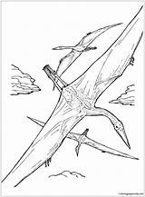 Pages Coloring Quetzalcoatlus Dinosaur Color Printable Online Pterosaur Dinosaurs Valentines Print Choose Board Coloringpagesonly sketch template