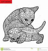 Coloring Kitten Cat Adults Book Zentangle Mother Her Vector sketch template