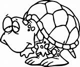 Turtle Tortoise Hatching Wecoloringpage sketch template