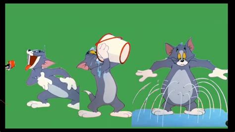 tom  jerry hd greenscreen toms body spilling water youtube