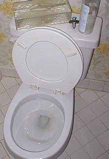 toilet wikipedia