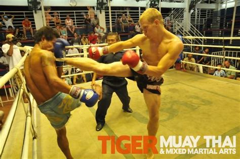 tiger muay thai and mma fighters go 3 1 patong thai boxing stadium