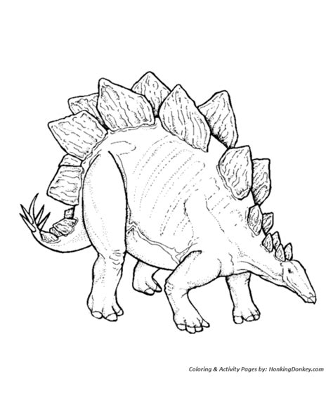 stegosaurus coloring pages dinosaur coloring page sheet honkingdonkey