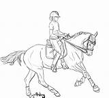 Lineart Dressage Pferde Tack Springen Cliparting Ausdrucken Springreiten Skizze Foal sketch template