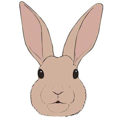 draw  bunny face