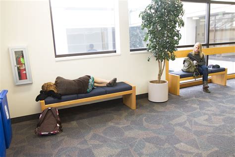 the secret nap society creates napping culture the daily universe