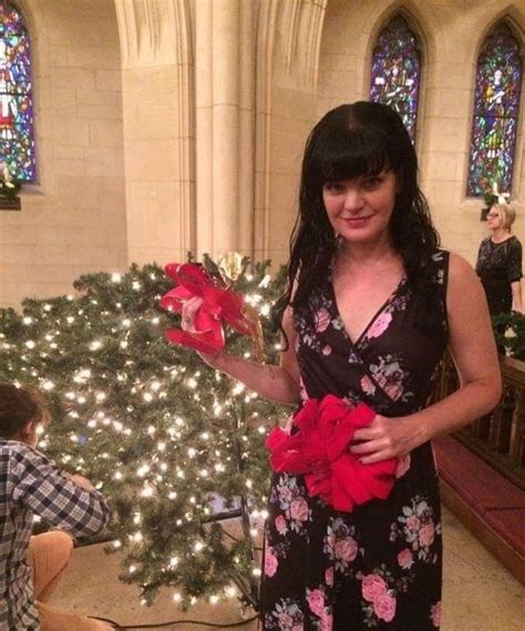 Pin By Greg Gehrig On Pauley Perrette Pauley Perrette Ncis Abby