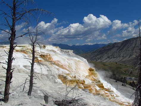 mammoth hot springs  yellowstone national park nonstop  jfk