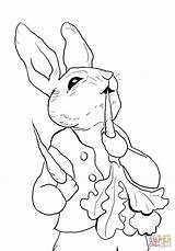 Rabbit Peter Coloring Pages Printable Eating Cottontail Radishes Colouring Potter Beatrix Print Printables Bunny Jessica Color Nick Jr Tale Crafts sketch template