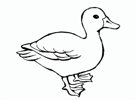 top printable duck derrick website