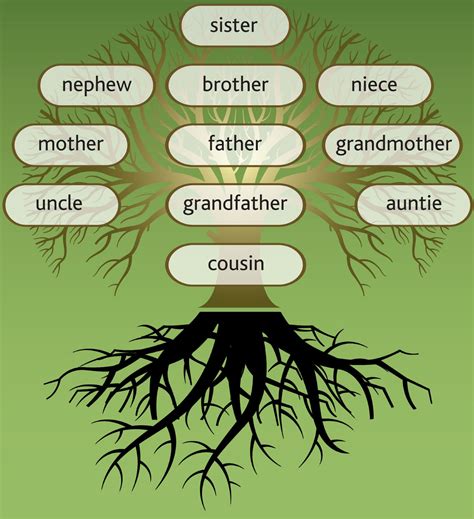 family tree workshops  webinars    research