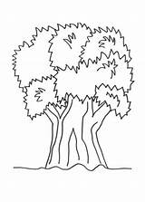 Tree Big Coloring Nature sketch template