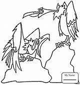 Coloring Pages Hawk Iowa Red Tailed Prey Birds Getcolorings Printable Getdrawings Tail Tony Colorings sketch template