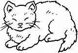 Gambar Kucing Mewarnai Lucu Imut Latihan sketch template