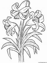 Flowers Ramos Canastas Dibujos sketch template