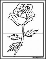 Coloring Rose Pages Pdf Kids Summer Sheets Printables Bud Stem Template Customize Long Simple Colorwithfuzzy Printable sketch template
