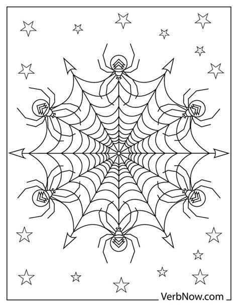 spiders coloring pages book   printable  verbnow