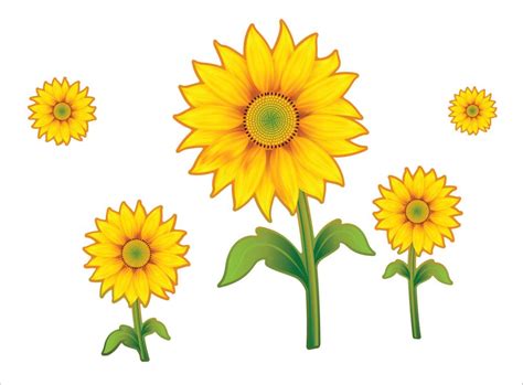 gambar kartun bunga matahari clipart best