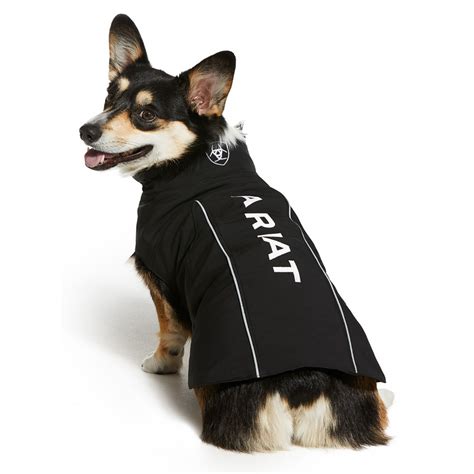 ariat team softshell dog jacket