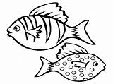 Fish Coloring Pages Aquarium Color Kids Realistic Printable Bass Saltwater Puffer Print Drawing Boat Getcolorings Tropical Realisticcoloringpages Via Cute Fi sketch template