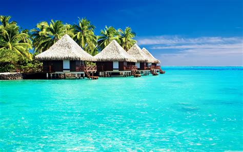 hd tropical wallpapers amazing hd tropical wallpapers