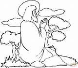 Jesus Praying Coloring Pages Printable Getcolorings sketch template