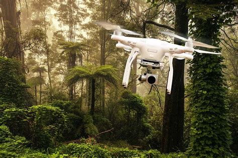 drones  deer scouting  drone review king