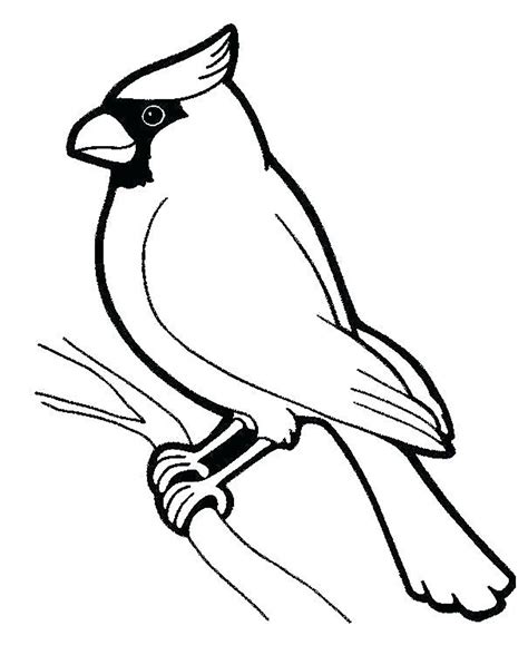 perched bird birds kids coloring pages