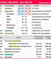 Bildergebnis für Kleinhirnerkrankungen Tabelle. Größe: 218 x 250. Quelle: www.pinterest.de