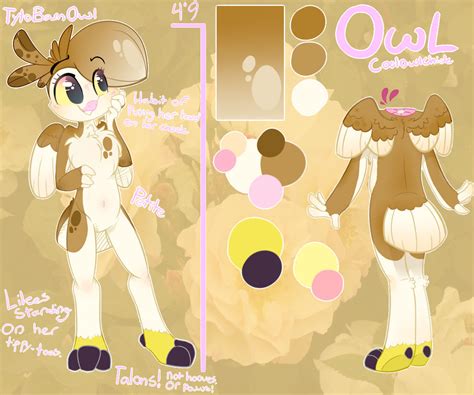 Oc Owl Reference Sheet By Tacotron2000 On Deviantart