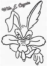 Coyote Wile Looney Tunes Roadrunner sketch template
